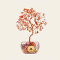 Natural Red Agate Crystal Tree with Lucky Coin | Root Chakra