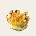 Natural Citrine Cluster | Abundance & Success